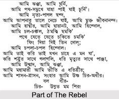 The Rebel