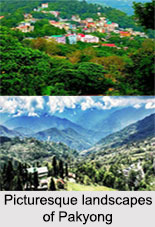 Pakyong, Sikkim