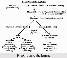 Patanjali Yoga Sutras