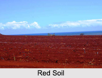 Types of Soils in India, Indian Soil