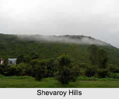 Shevaroy Hills, Tamil Nadu