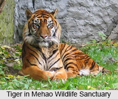 Mehao Wildlife Sanctuary, Arunachal Pradesh
