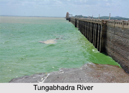 Tributaries of River Krishna, Indian River