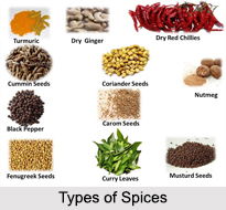 Indian Spices