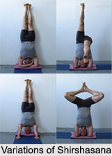 Shirshasana