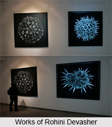 Rohini Devasher, Indian Painter