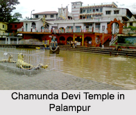 Palampur, Himachal Pradesh