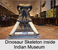 Indian Museum, Kolkata, West Bengal