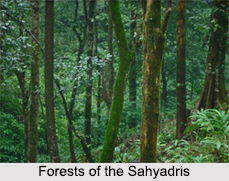 Sahyadris Mountain Range