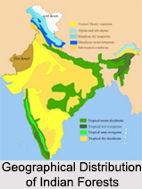 Types of Forest in India