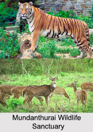 Tourism in Tirunelveli, Tamil Nadu