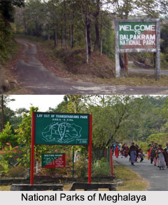 Tourism in Meghalaya