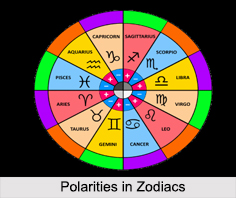 Concepts in Zodiacs