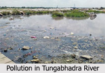 Tungabhadra River, Indian River
