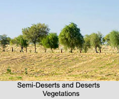 Natural Vegetation in India