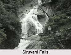 Waterfalls in Tamil Nadu
