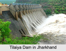 Damodar River, Indian River