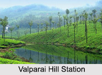 Hill Stations of Tamil Nadu