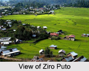 Ziro, Arunachal Pradesh