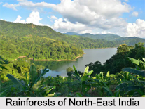 Rain Forests of India