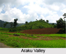 Vishakhapatnam ,  Andhra Pradesh