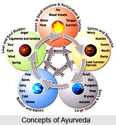 Concepts of Ayurveda
