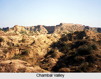 Economy of Dholpur District