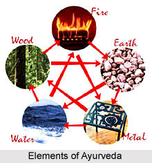 Elements of Ayurveda