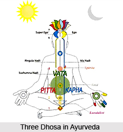 Vikruti in Ayurveda
