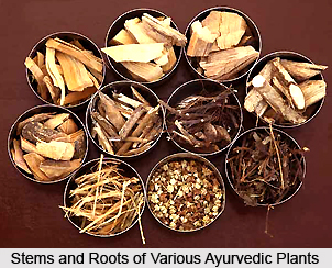 Ayurvedic concept of disease