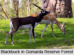 Tourism in Raigarh District