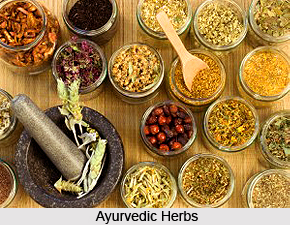 Development of  Ayurveda