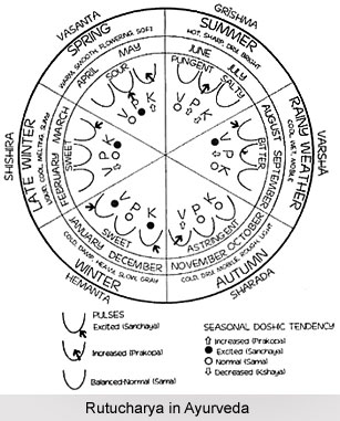 Rutucharya in Ayurveda