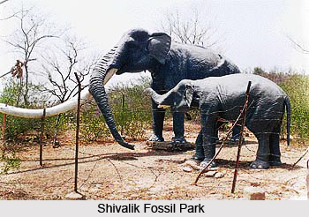 Tourism in Sirmaur District