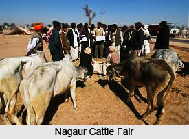 Fairs in Nagaur District, Rajasthan