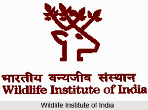 Wildlife Institute of India, Union Government Autonomous Bodies