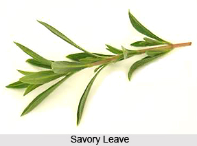 Savory