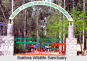 Sukhna Wildlife Sanctuary, Chandigarh