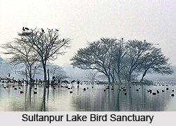 Tourism in Gurgaon District