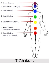 A meditative exercise on the seven hearts  , Chakra System