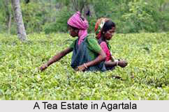 Industries in West Tripura District