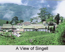 Singell, Kurseong, West Bengal