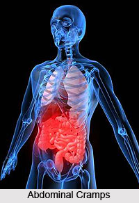 Gastro Enteritis