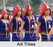 Adi Tribe, Tribes of Arunachal Pradesh