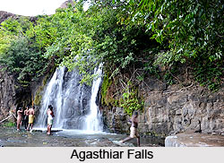 Agasthiar Falls, Tirunelveli District, Tamil Nadu