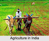 Agriculture in India