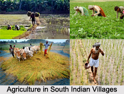 Village Life in South India