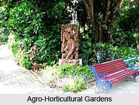 Agro-Horticultural Gardens ,  Kolkata