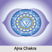Ajna Chakra, Kundalini Chakra