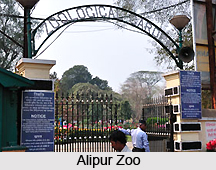 Alipur , Kolkata